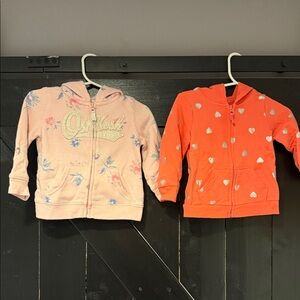 Baby Pink Flower and Orange Hoodie-Set of 2